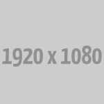 AFC Tree Planting Day