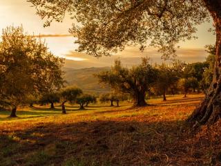 Transparency & Anti-Corruption Reforms